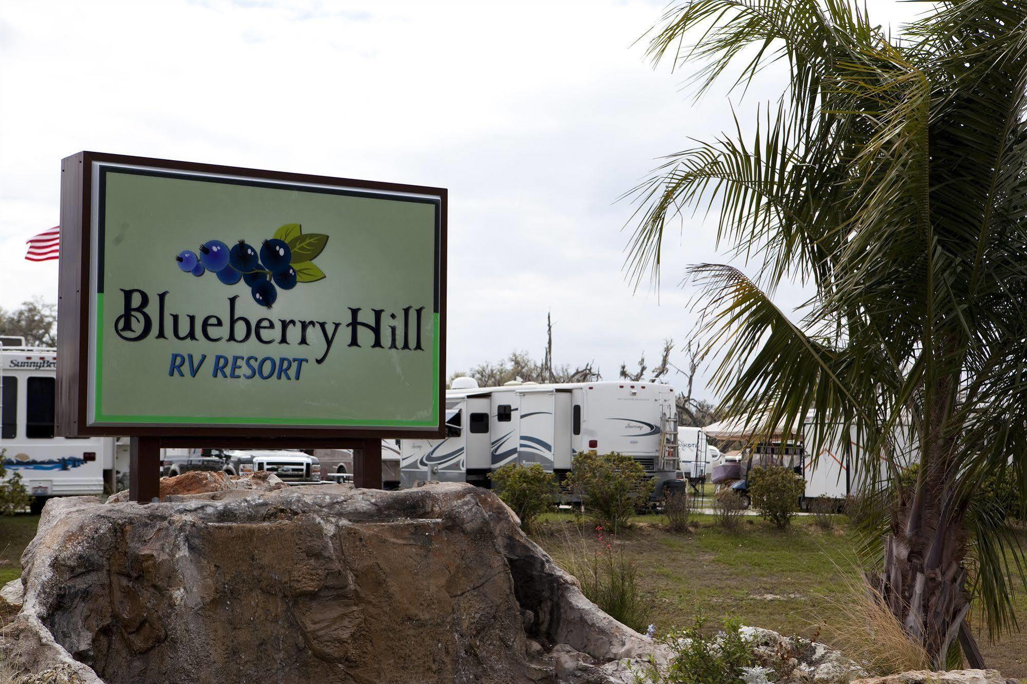 Blueberry Hill Βίλα Bushnell Εξωτερικό φωτογραφία