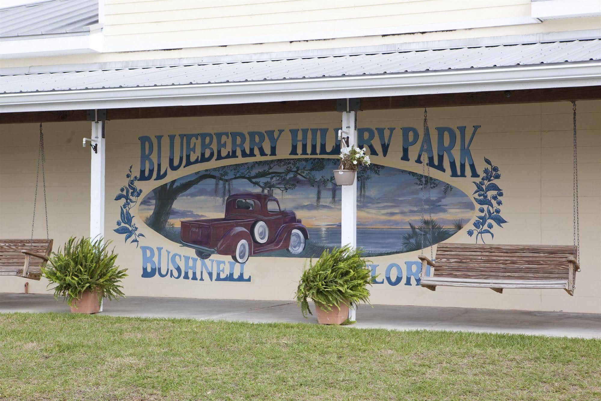 Blueberry Hill Βίλα Bushnell Εξωτερικό φωτογραφία